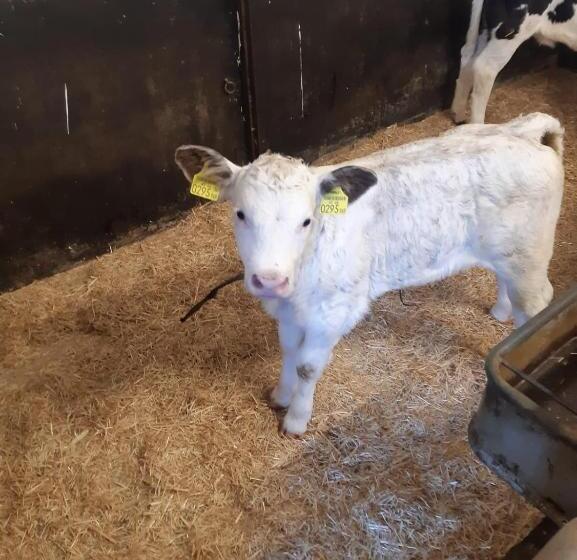 فندق Bichlhof Riedenberg