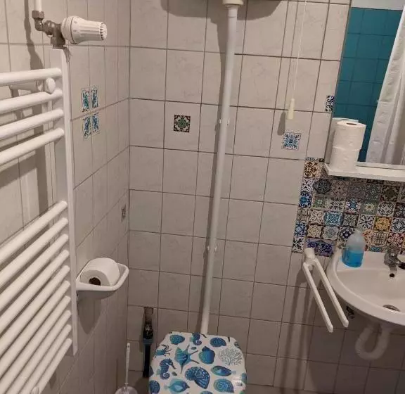 پانسیون Brindza Vendégház