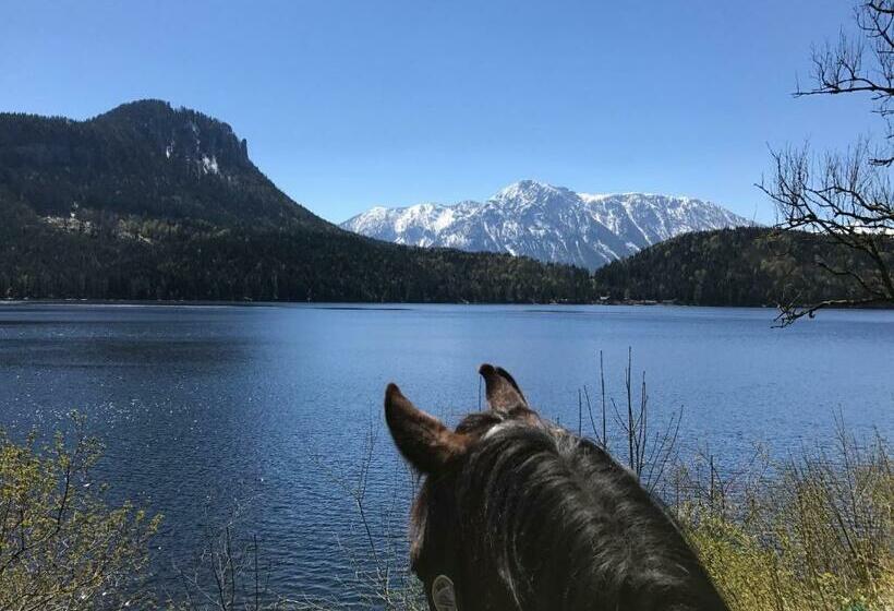 ペンション Reitbauernhof Schartner