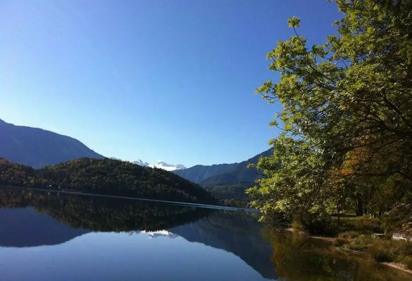 ペンション Reitbauernhof Schartner