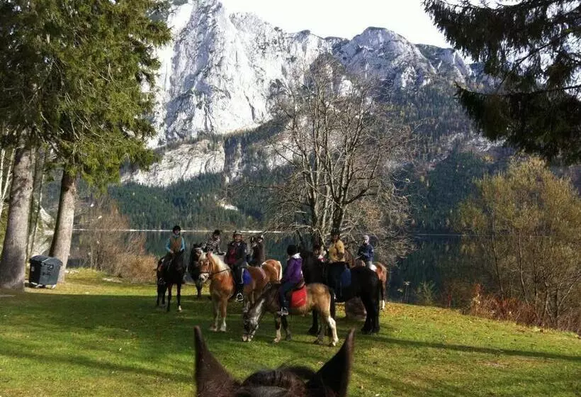 ペンション Reitbauernhof Schartner