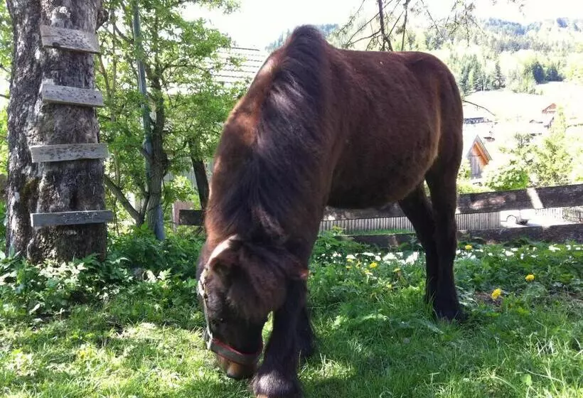 ペンション Reitbauernhof Schartner