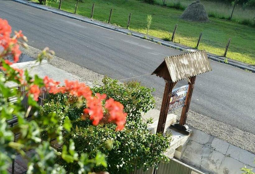 Pension Ioana Lavita