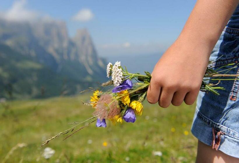 Alpin Residence Amadeus