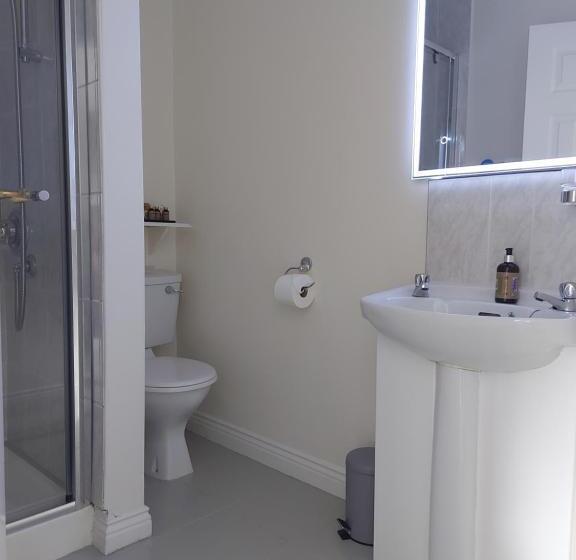 مبيت وإفطار Blackrock Carole Ville Guesthouse