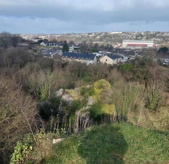 مبيت وإفطار Blackrock Carole Ville Guesthouse