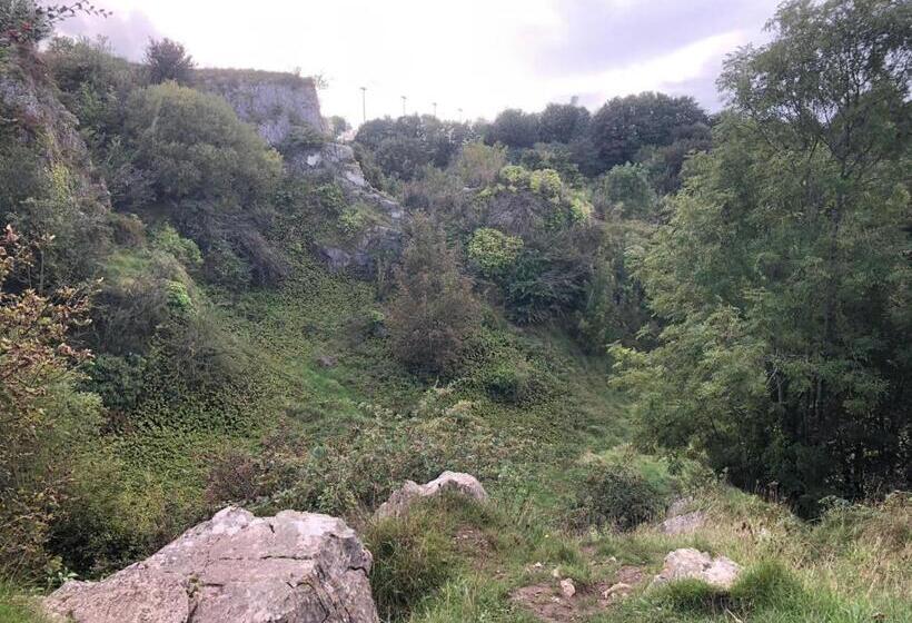 مبيت وإفطار Blackrock Carole Ville Guesthouse