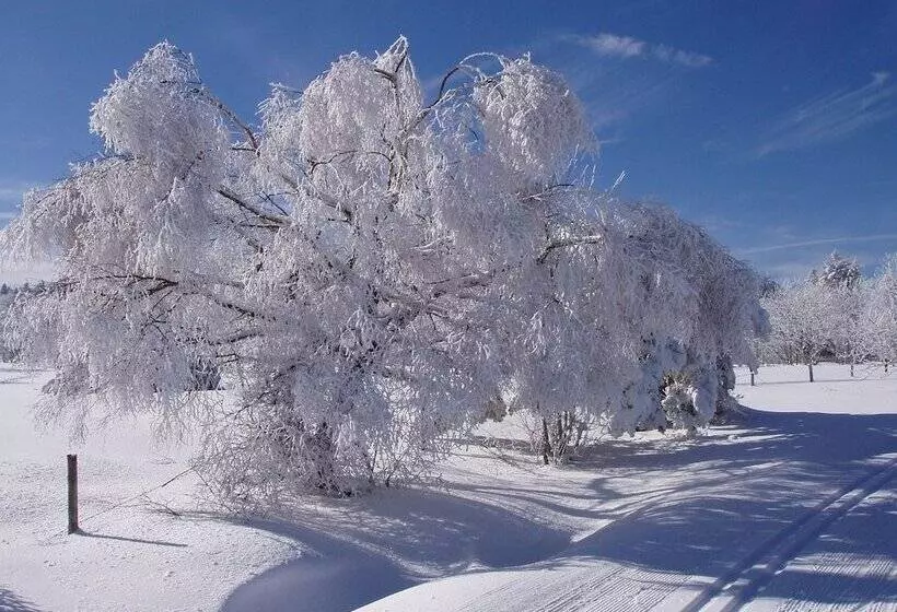 ベッドアンドブレックファースト Chambres Et Table D Hôtes Il Fut Un Temps..