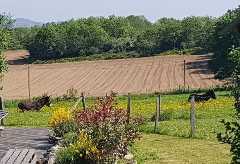 ベッドアンドブレックファースト Chambres Et Table D Hôtes Il Fut Un Temps..