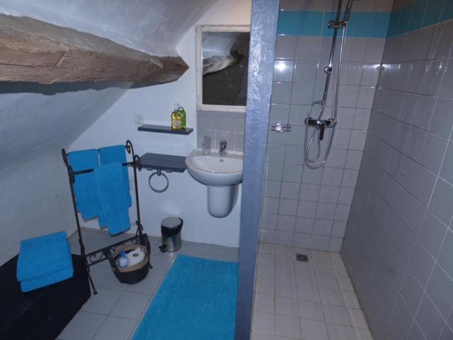 ベッドアンドブレックファースト Domaine De Givré