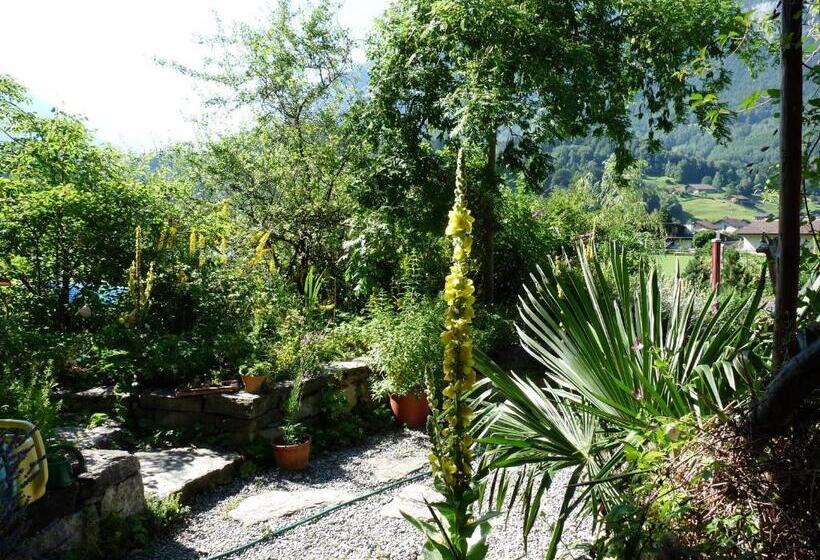 Bed & Breakfast Dunkel Blaue Maus