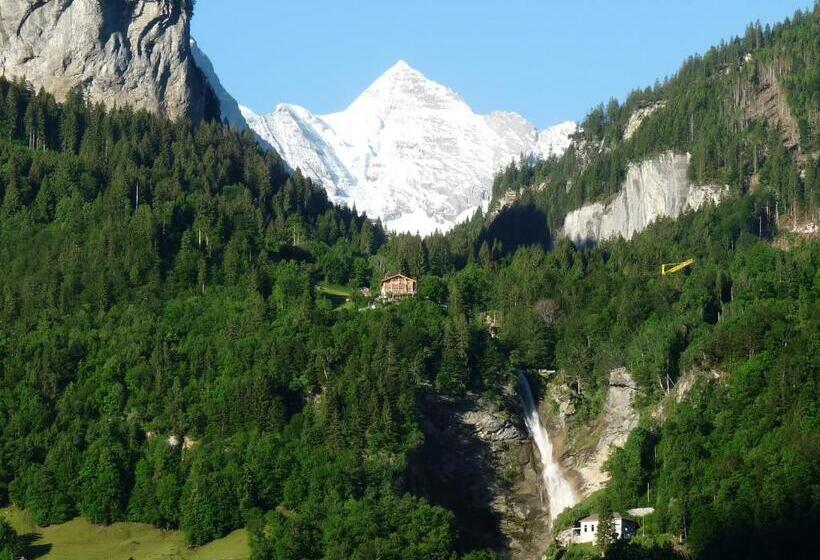 Bed & Breakfast Dunkel Blaue Maus