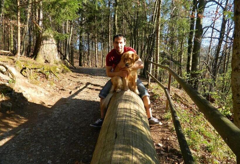 بنسيون Apartmány Jedovnice