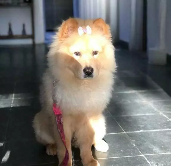 ペンション Pousada Do Mel
