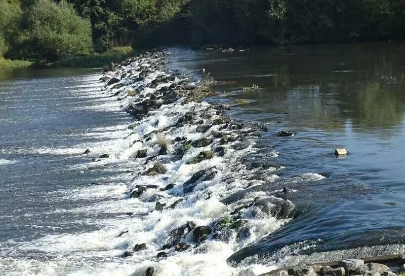 Pension Zur Sonne Wittenweier