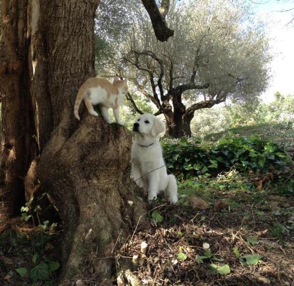 هتل Agriturismo San Felicissimo