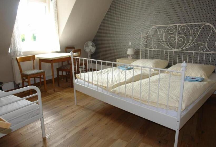 مسافرخانه Lotte The Backpackers