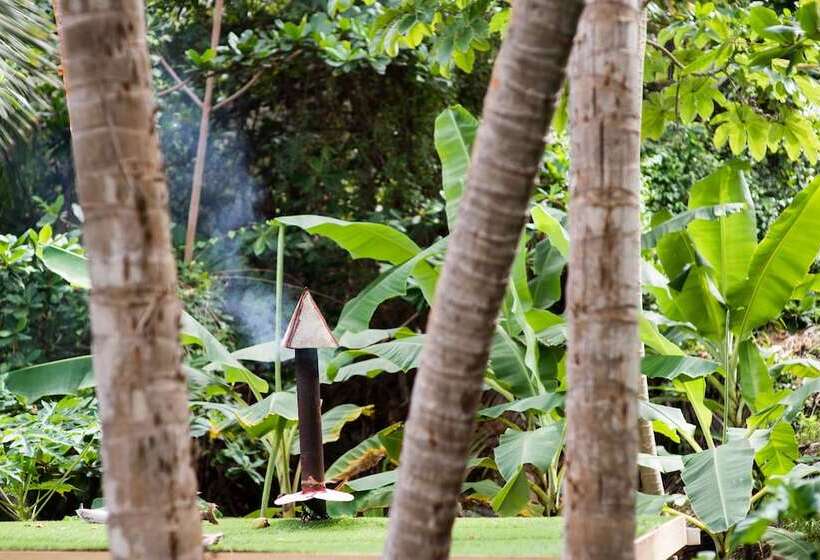 هتل Eco Lifestyle & Lodge