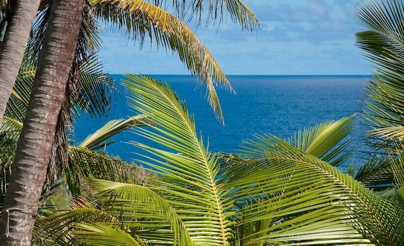 هتل Eco Lifestyle & Lodge