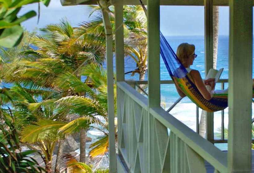 هتل Eco Lifestyle & Lodge