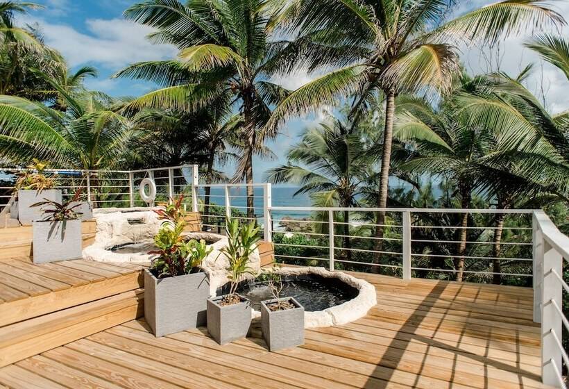 هتل Eco Lifestyle & Lodge