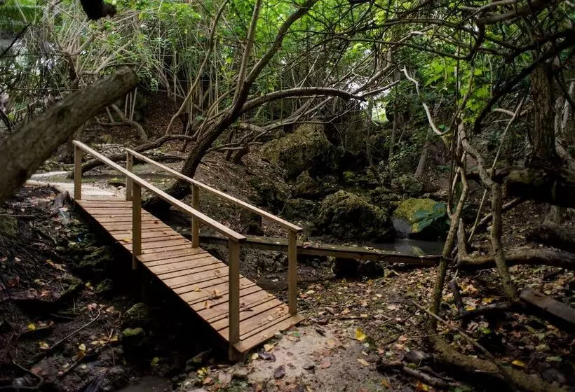 هتل Eco Lifestyle & Lodge