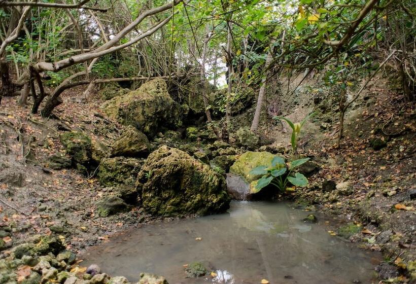 هتل Eco Lifestyle & Lodge