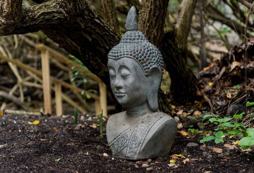 هتل Eco Lifestyle & Lodge