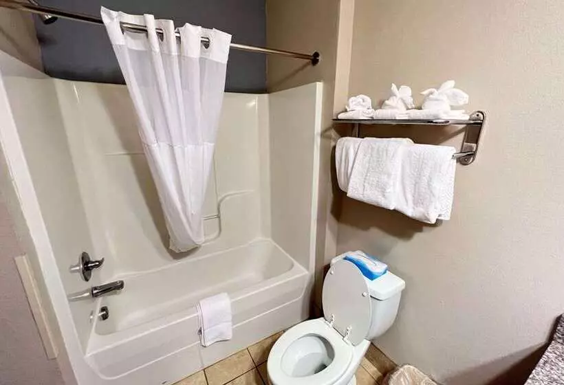 Отель Econo Lodge