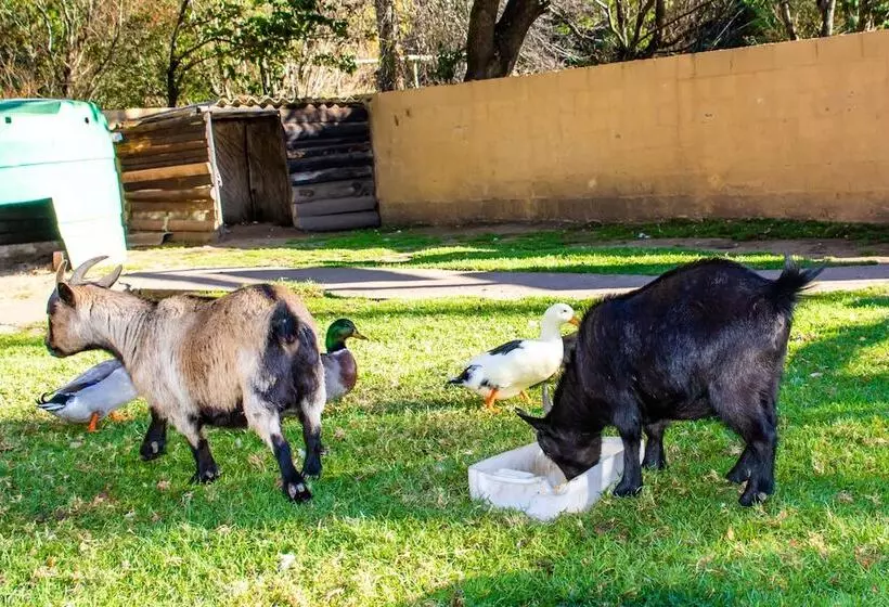 Hotel Gooderson Drakensberg Gardens Golf & Spa Resort