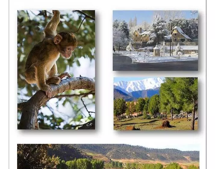 Hôtel La Maison Maure