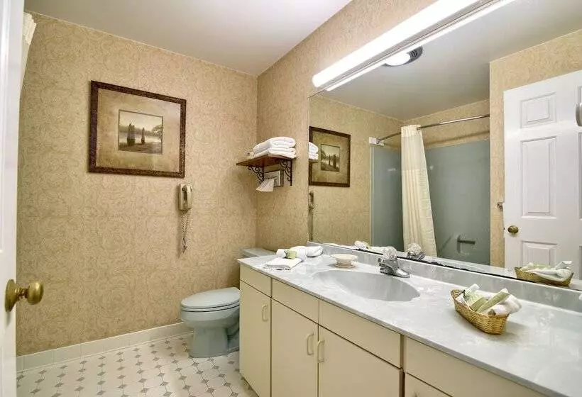 هتل Roosevelt Inn And Suites Saratoga Springs