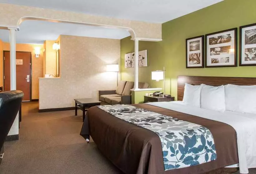 호텔 Sleep Inn & Suites