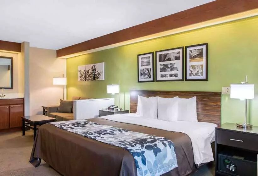 호텔 Sleep Inn & Suites