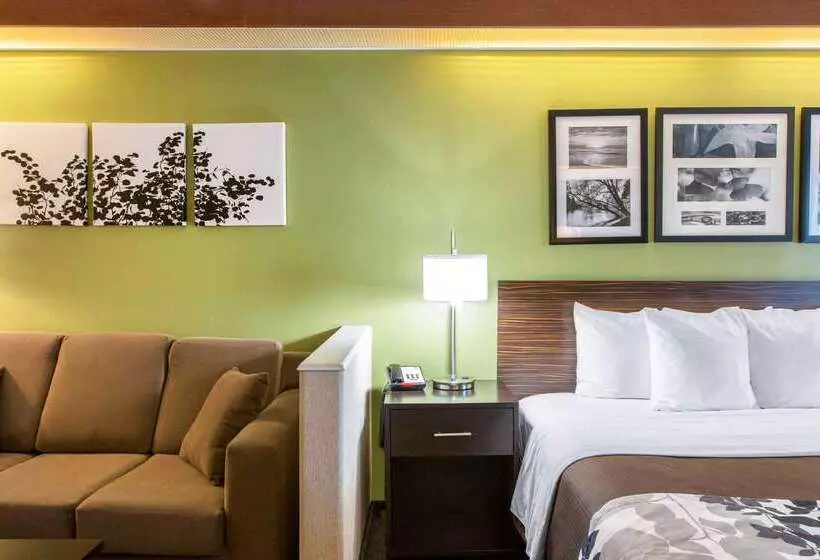 호텔 Sleep Inn & Suites
