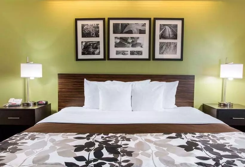 호텔 Sleep Inn & Suites