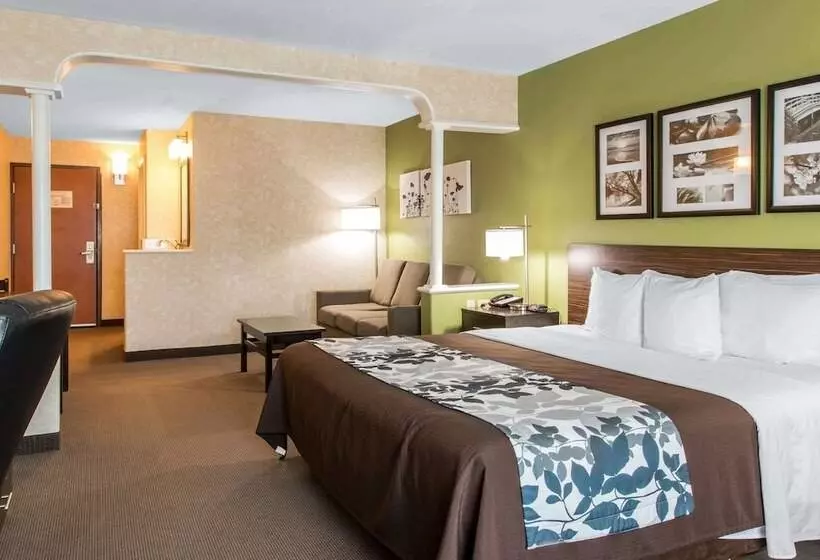 호텔 Sleep Inn & Suites