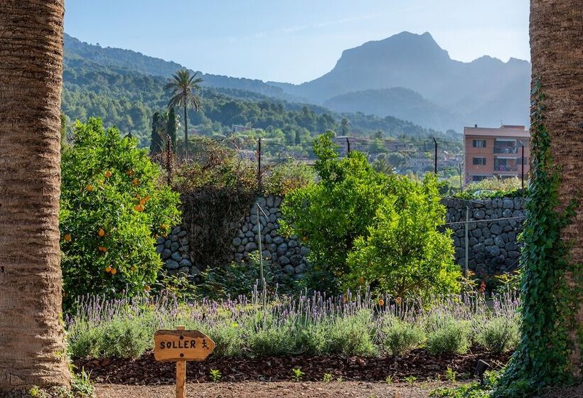 Finca Ca S Curial   Agroturismo   Adults Only