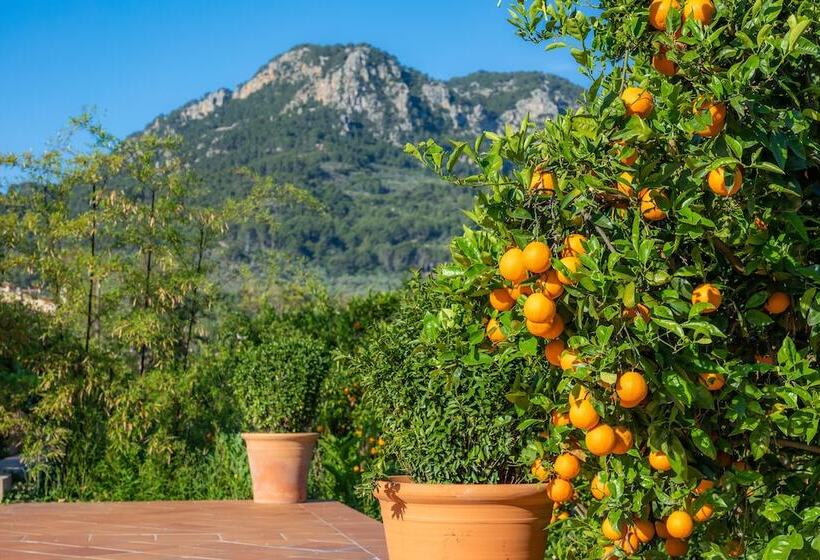 Finca Ca S Curial   Agroturismo   Adults Only