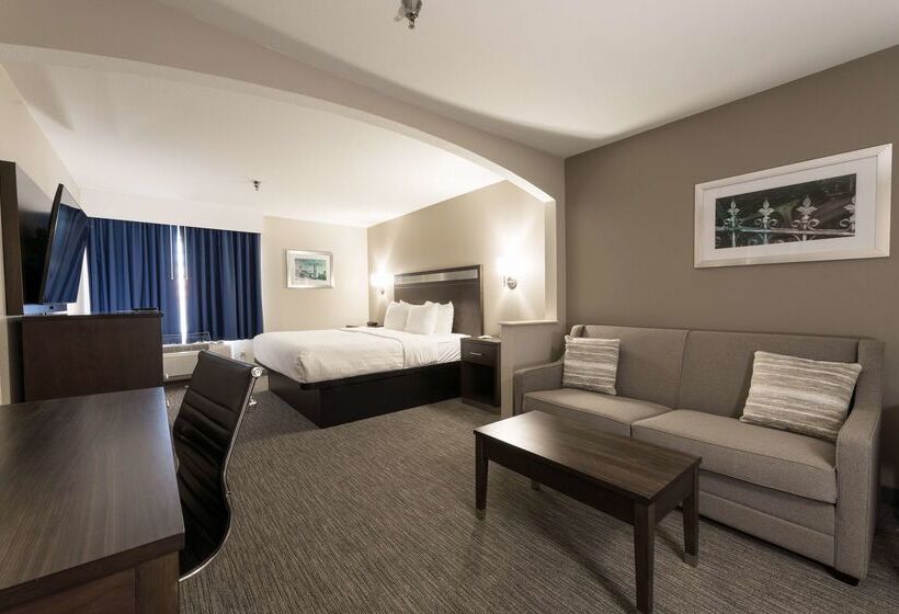 Otel Best Western Abilene Inn And Suites