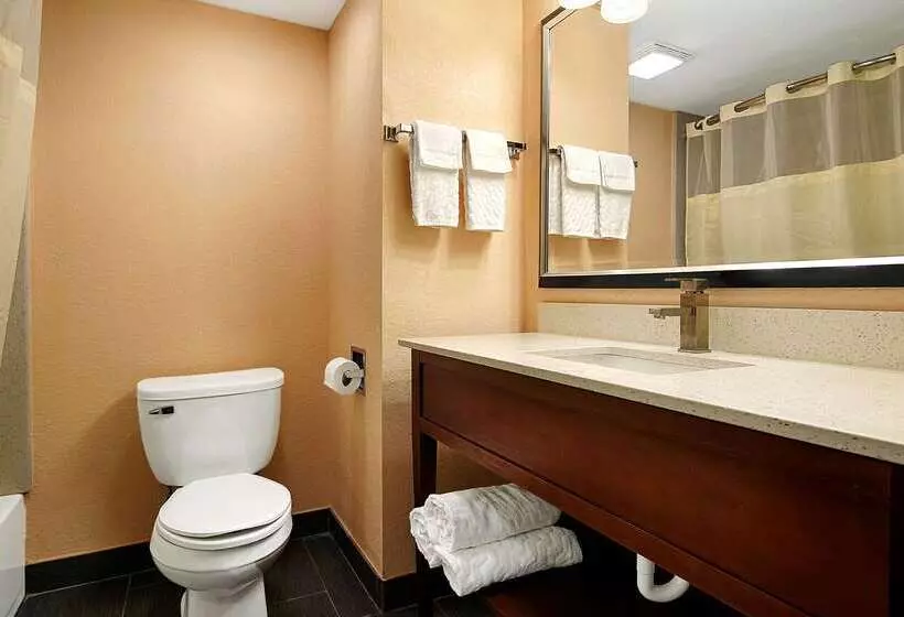 ホテル Best Western Canton Inn