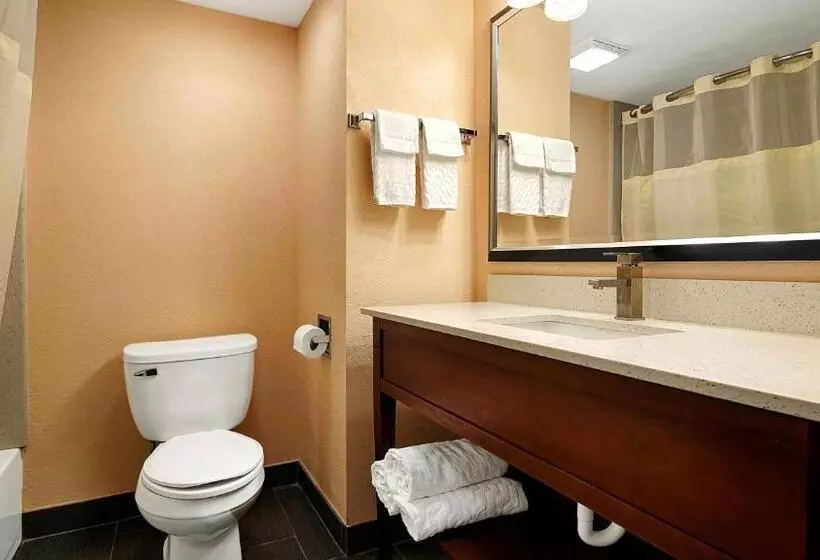 ホテル Best Western Canton Inn