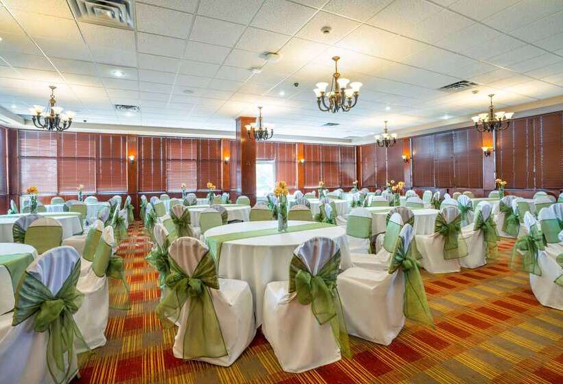 בית מלון כפרי Comfort Inn & Suites