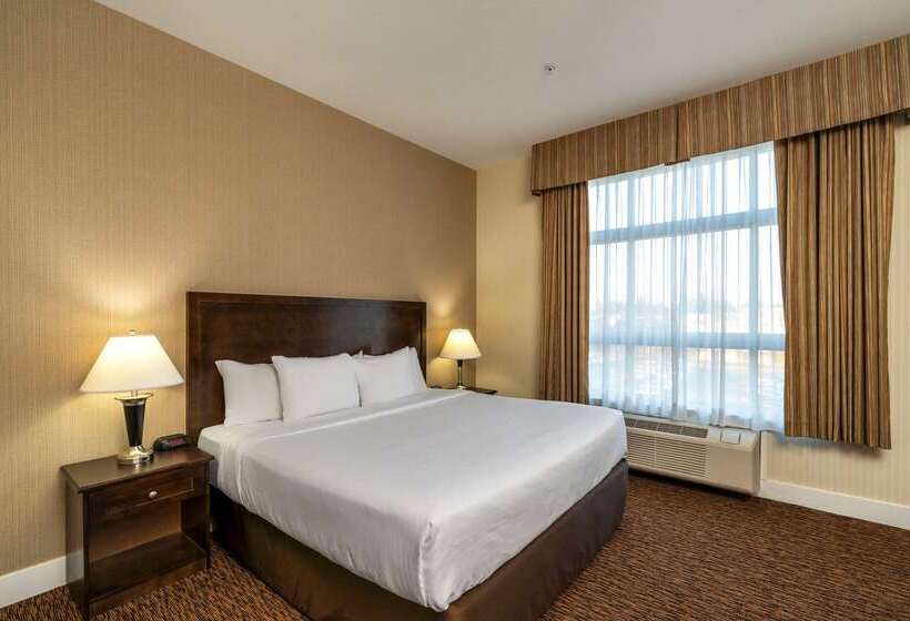 בית מלון כפרי Comfort Inn & Suites