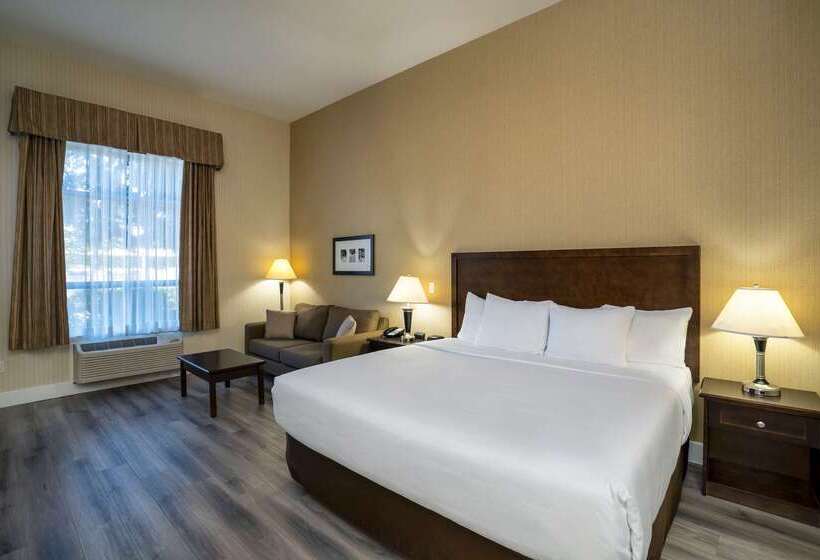 בית מלון כפרי Comfort Inn & Suites