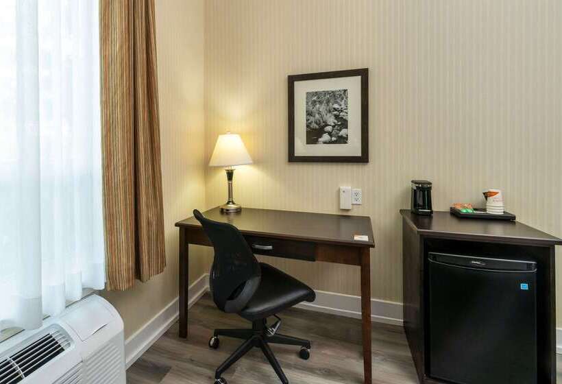 בית מלון כפרי Comfort Inn & Suites