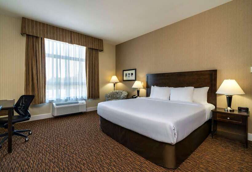 בית מלון כפרי Comfort Inn & Suites