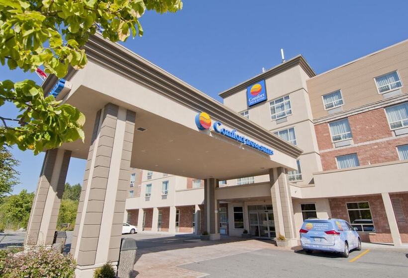 בית מלון כפרי Comfort Inn & Suites