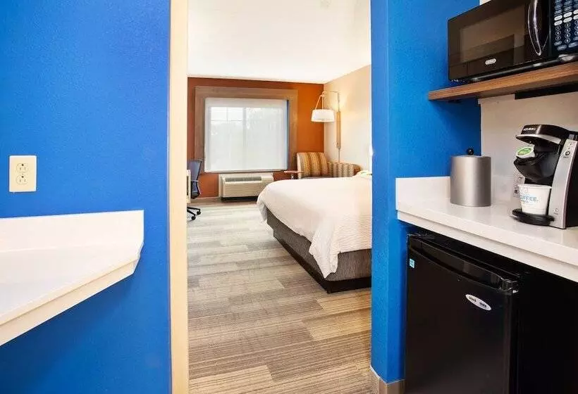 Hotelli Holiday Inn Express & Suites Rochester Webster By Ihg