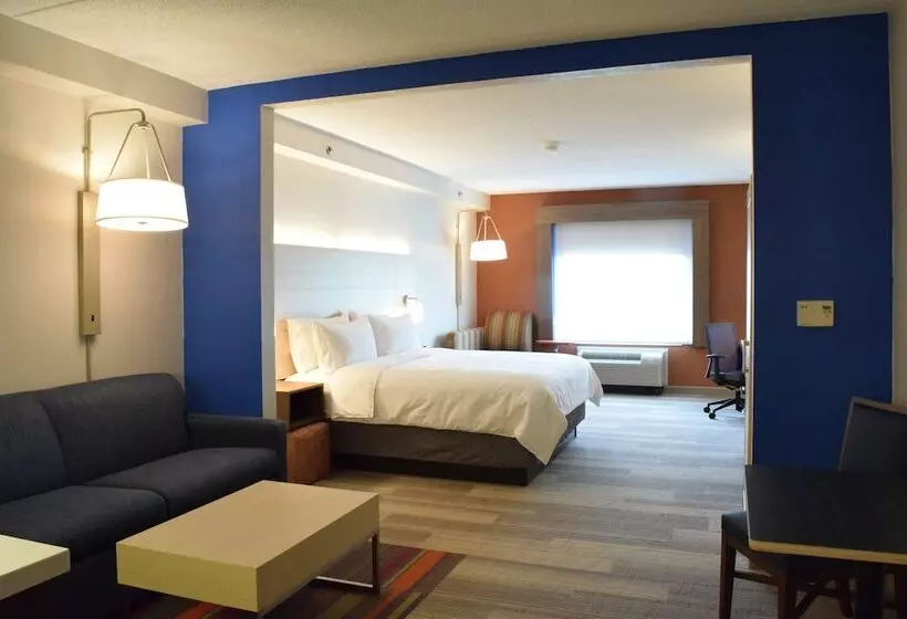 Hotelli Holiday Inn Express & Suites Rochester Webster By Ihg